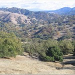 Cooley Ranch 1